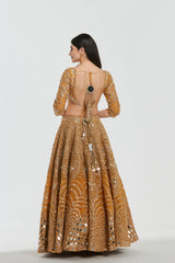 Mirror work, zari , gota