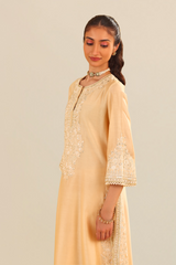 SEREEN - A-LINE KURTA WITH PALAZZO