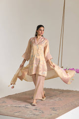 Blush Mint Applique Embroidered Tissue Kurta Set - Set of 2