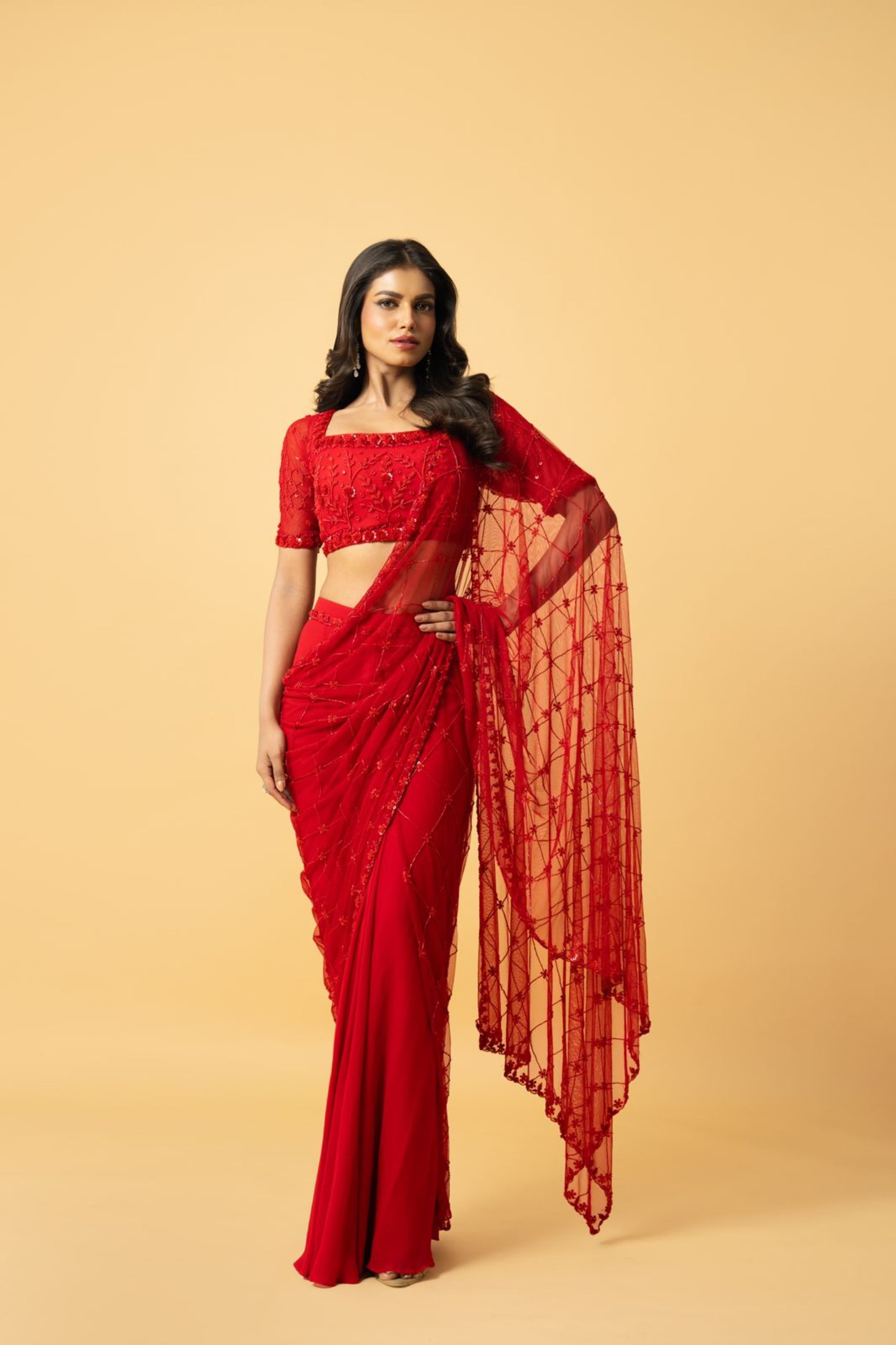 Red Soft Net Georgette Saree with Intricate Hand Embroidery