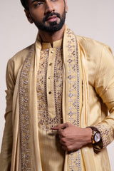 Darpan set