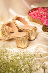 Chandra-heel