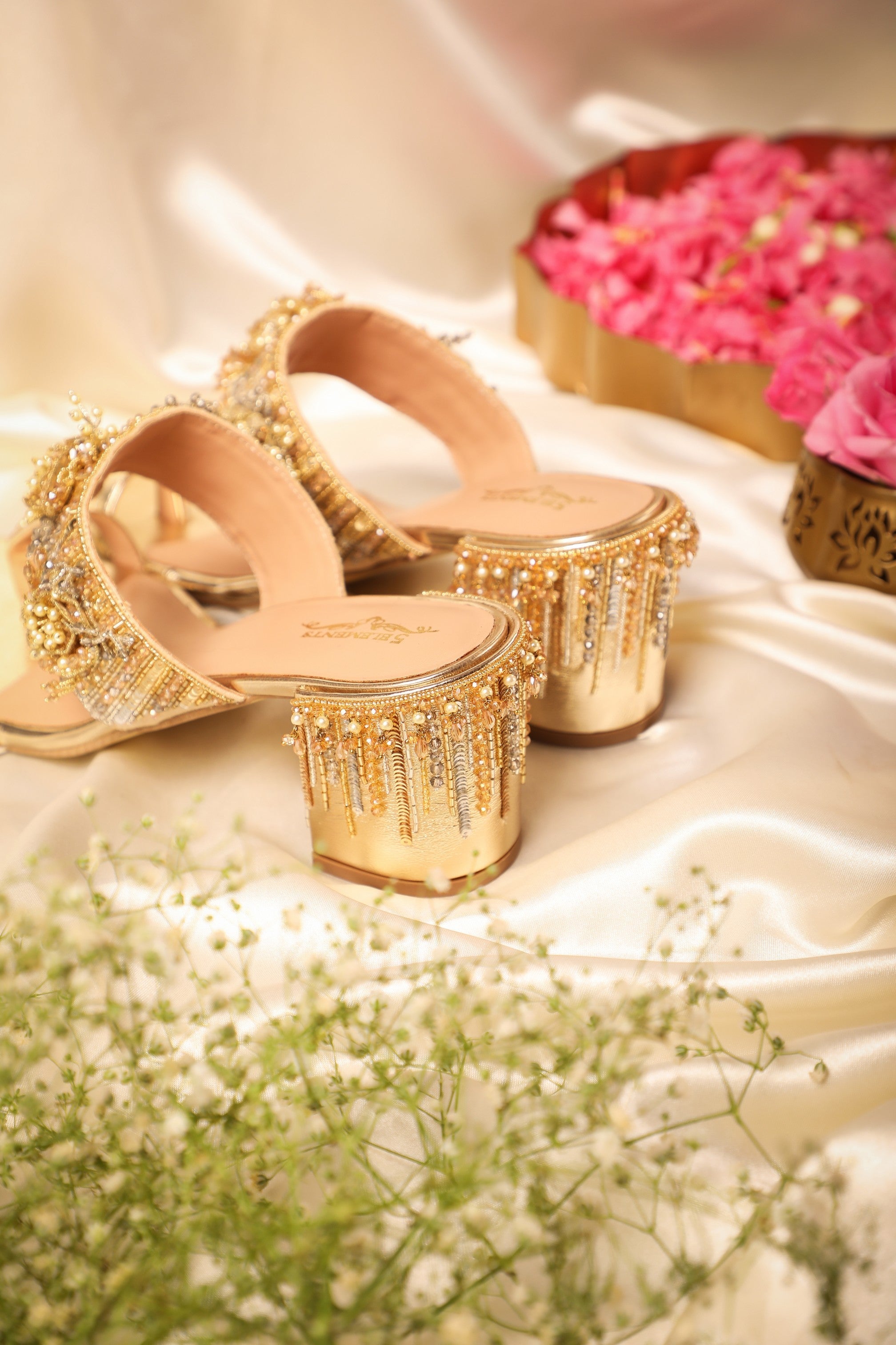 Chandra-heel