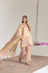 Blush Mint Applique Embroidered Tissue Kurta Set - Set of 2
