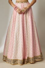 Light Pink Sequin Lehenga Set