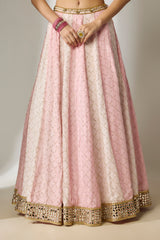Light Pink Sequin Lehenga Set