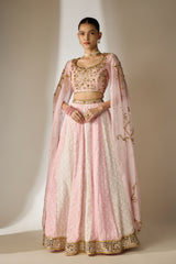 Light Pink Cape Sleeve Lehenga Set