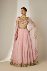 Light Pink Cape Sleeve Lehenga Set