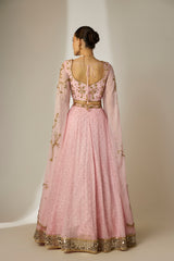 Light Pink Cape Sleeve Lehenga Set