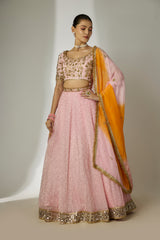 Pink Sequin Lehenga Set