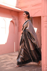 Hawa Hawai Tissue Handloom Sari