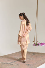Blush Mint Applique Embroidered Tissue Kurta Set - Set of 2