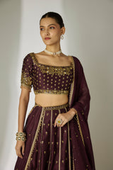 Brown Chanderi Lehenga Set