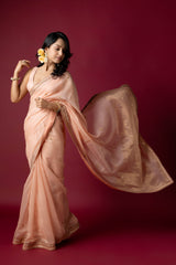 Light Peach Chanderi Silk Aari Saree
