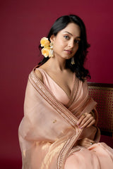 Light Peach Chanderi Silk Aari Saree
