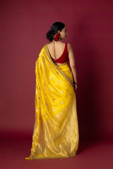 Yellow Chanderi Silk Aari & Bobbin Saree
