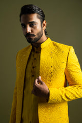 Anaya Elegant Festive Ensemble