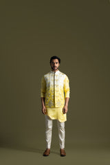 Inaya Elegant Festive Suit