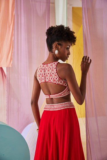 Anaisa lehenga set