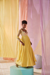Iris anarkali set