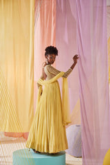Iris anarkali set