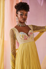 Iris anarkali set
