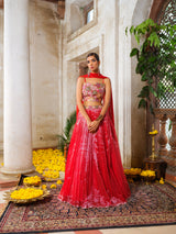 tara laal lehenga set