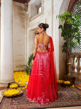 tara laal lehenga set