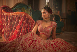 Red heavily embroidered lehenga