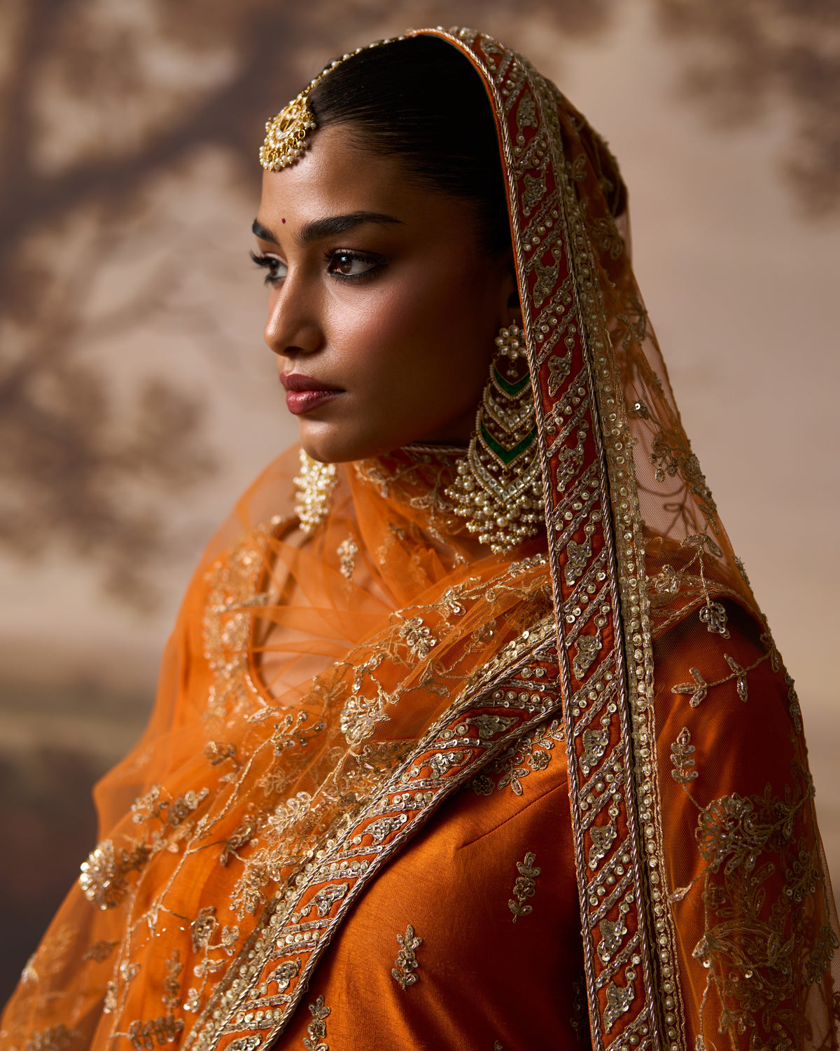 Roshni