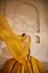 Peeli Noor lehenga set