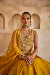 Peeli Noor lehenga set