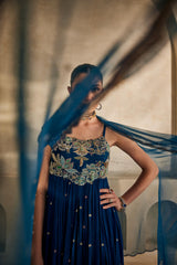 Neel Afreen Anarkali set