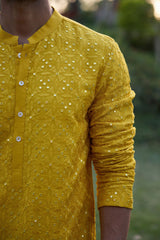 DHOLPUR KURTA