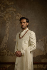 Afreen Sherwani