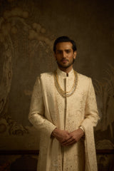 Zarbagh Sherwani