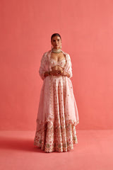 Organza Dupatta