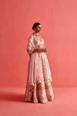 Organza Dupatta