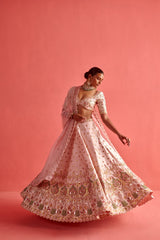 Organza Dupatta