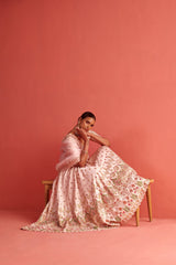 Organza Dupatta