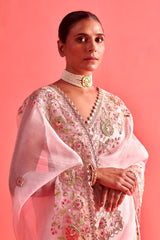 Powdered Pink hand embrodiered saree with Mashru silk blouse