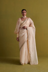 Beige hand embrodiered saree with raw silk blouse