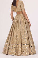 PATTERN TISSUE LEHENGA SET