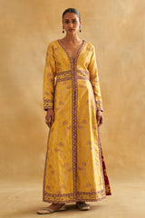 Tilfi Benarasi Peacock Jaal Jacket & Zari Tissue Flared Pants