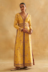 Tilfi Benarasi Peacock Jaal Jacket & Zari Tissue Flared Pants