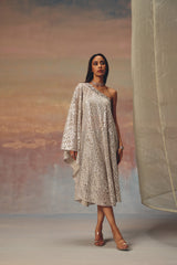 One Shoulder Dress