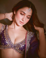 Golconda Sacchi lehenga set