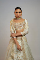 Golconda Shahi lehenga set