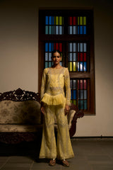 Lime Radiance Embellished Co-ord Set