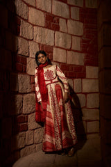 Mehr Rang – Printed Anarkali Gown